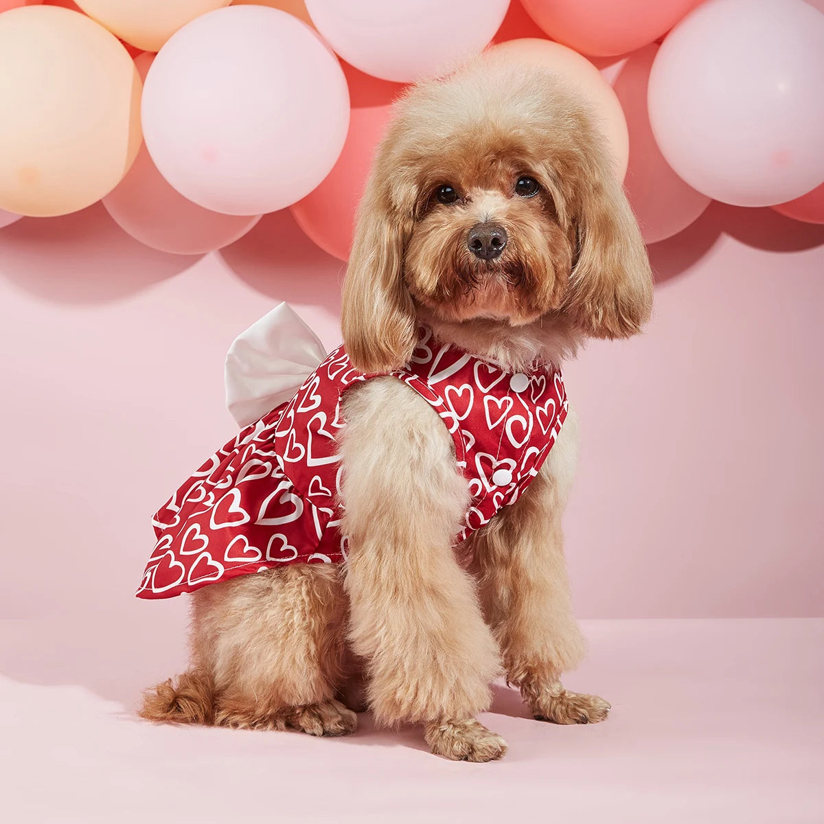Valentines Day Dress