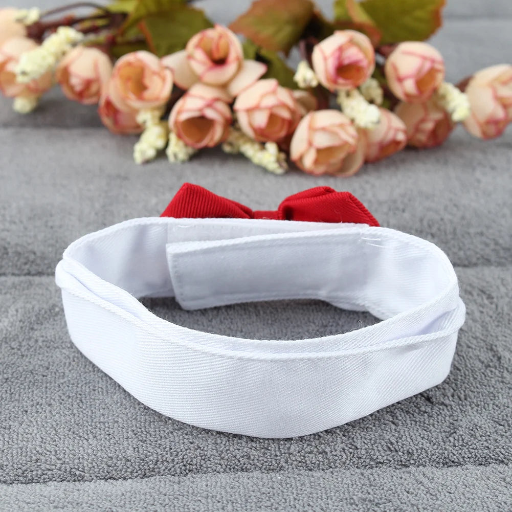 Adjustable Bow Tie Collar