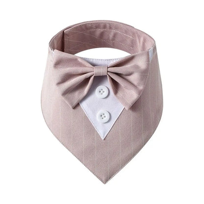 Bow Tie Collar