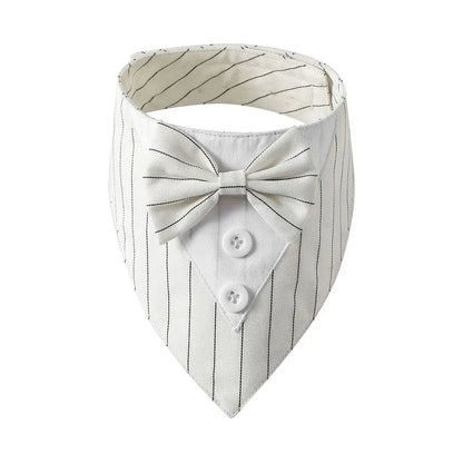 Bow Tie Collar