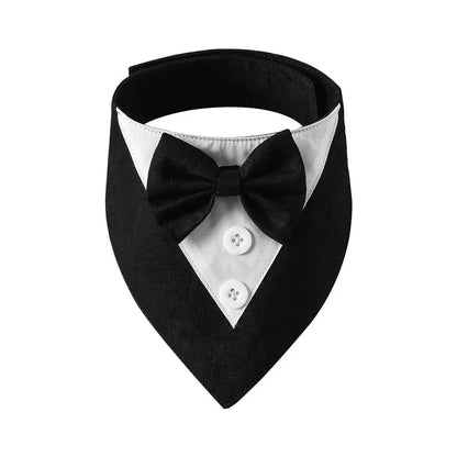 Bow Tie Collar