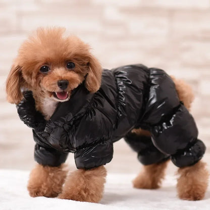 Waterproof Faux Leather Coat