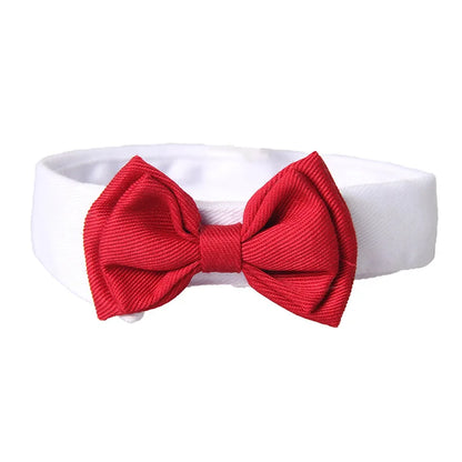 Adjustable Bow Tie Collar