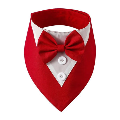 Bow Tie Collar