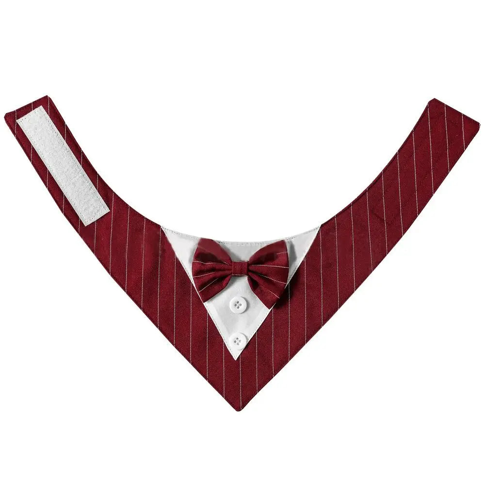 Bow Tie Collar