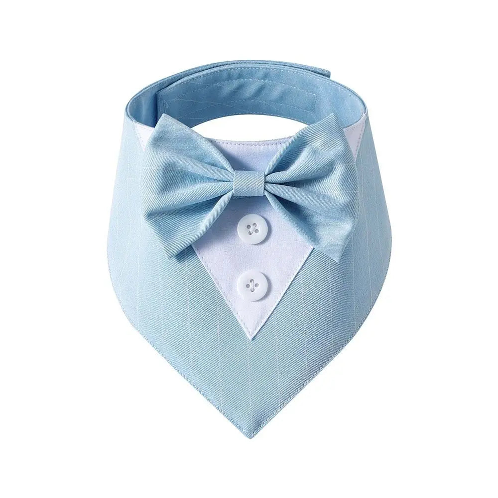 Bow Tie Collar