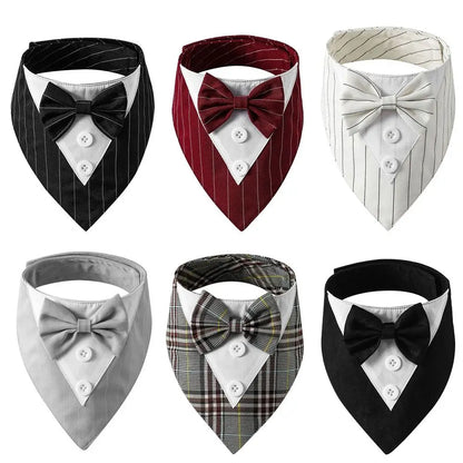 Bow Tie Collar