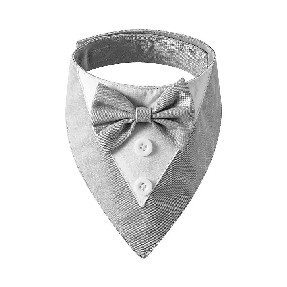 Bow Tie Collar