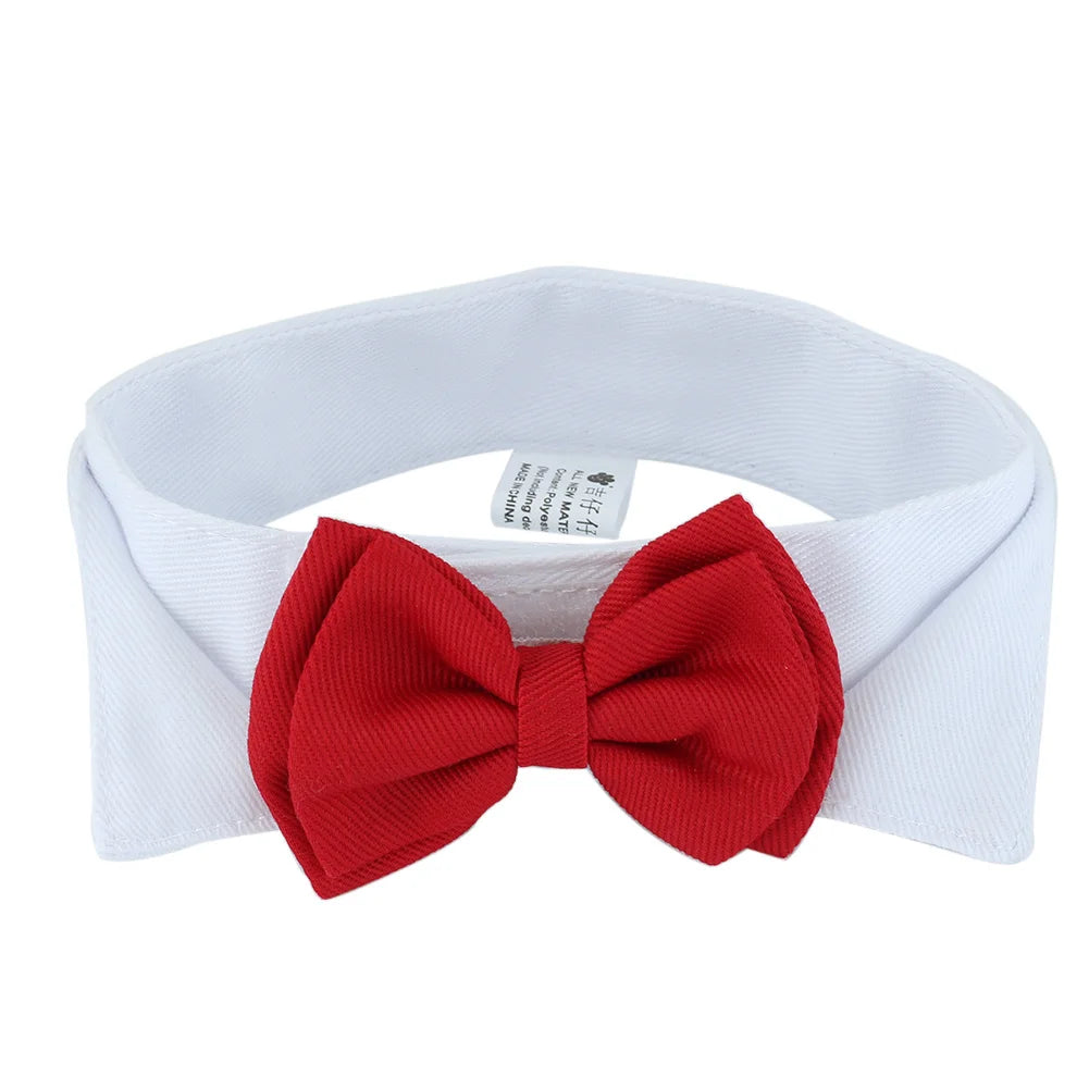 Adjustable Bow Tie Collar