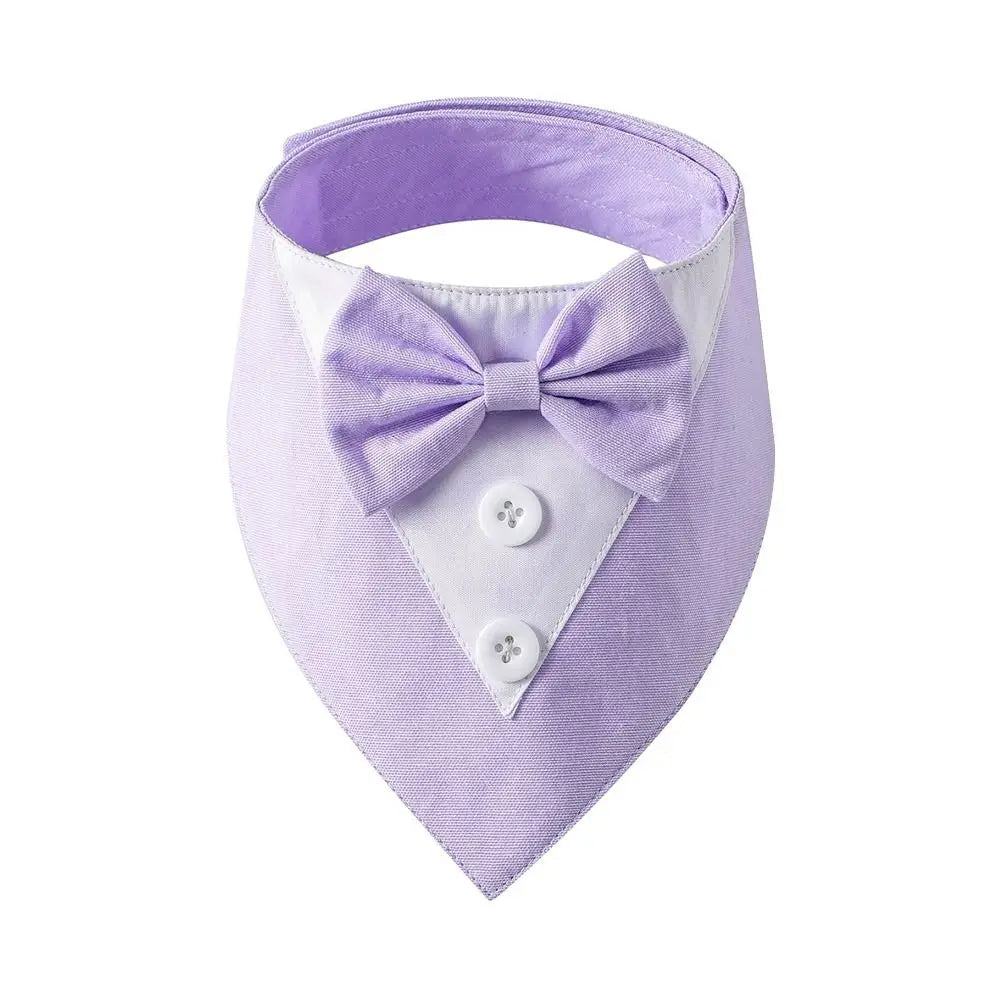 Bow Tie Collar